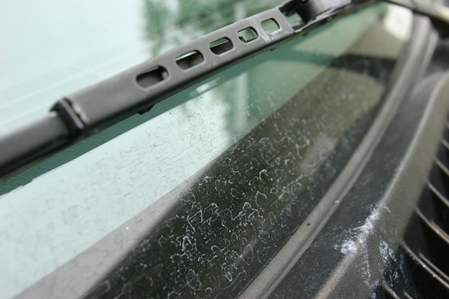Mẹo tẩy vết ố, mốc trên kính xe ô tô | Xulymuixeoto.com